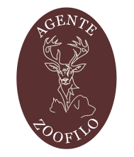BozzelogoMadini – Copia