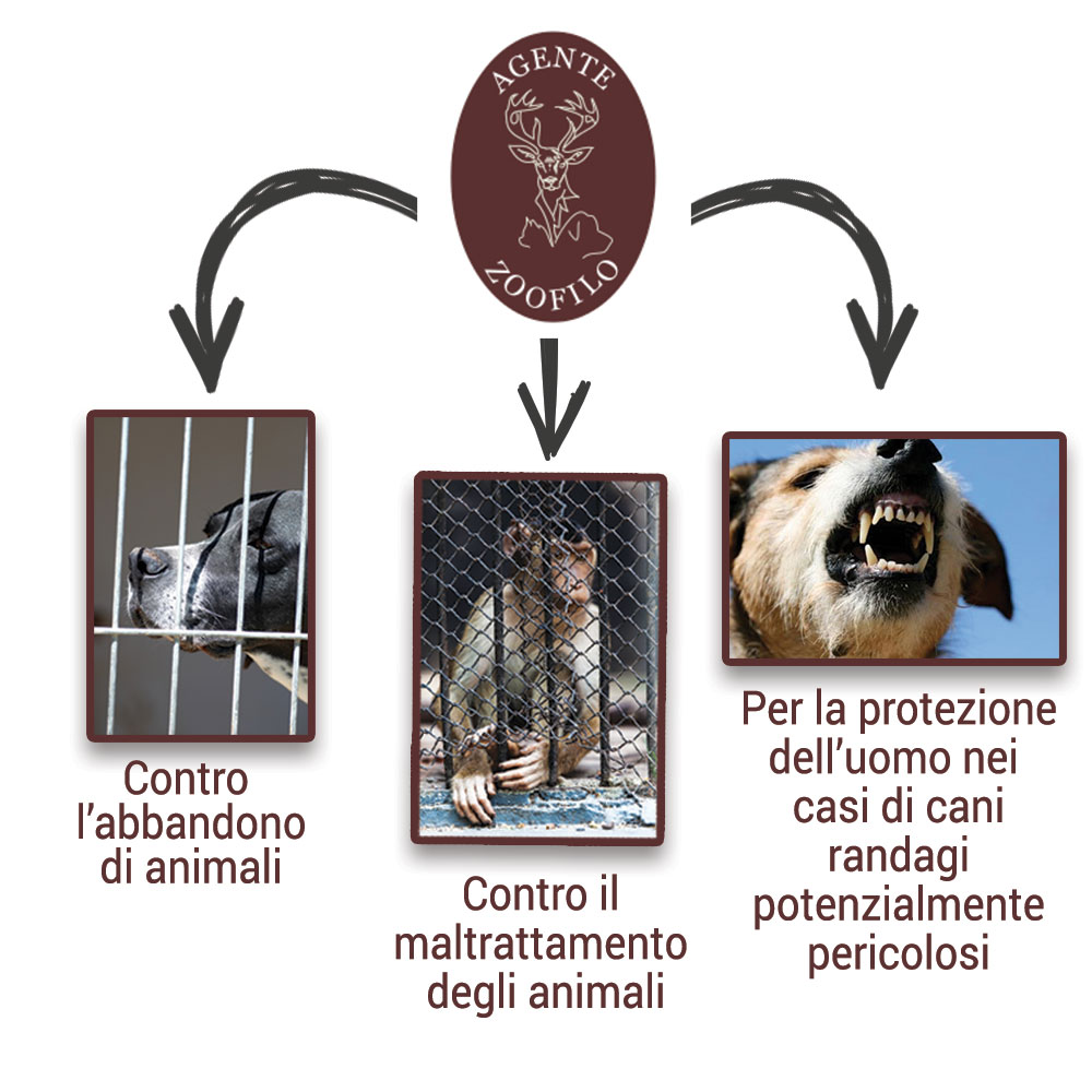 zoofilo